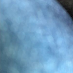 Meet your Posher, Bonnie